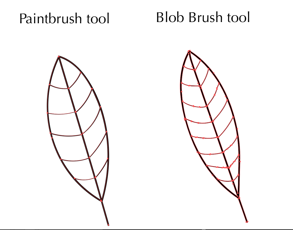 Video The Difference Between Paintbrush And Blob Brush Tool In