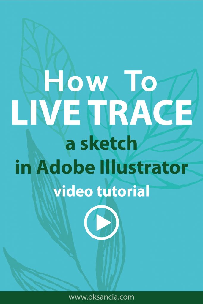 Video: How to live trace in Illustrator. Turn a sketch into vector