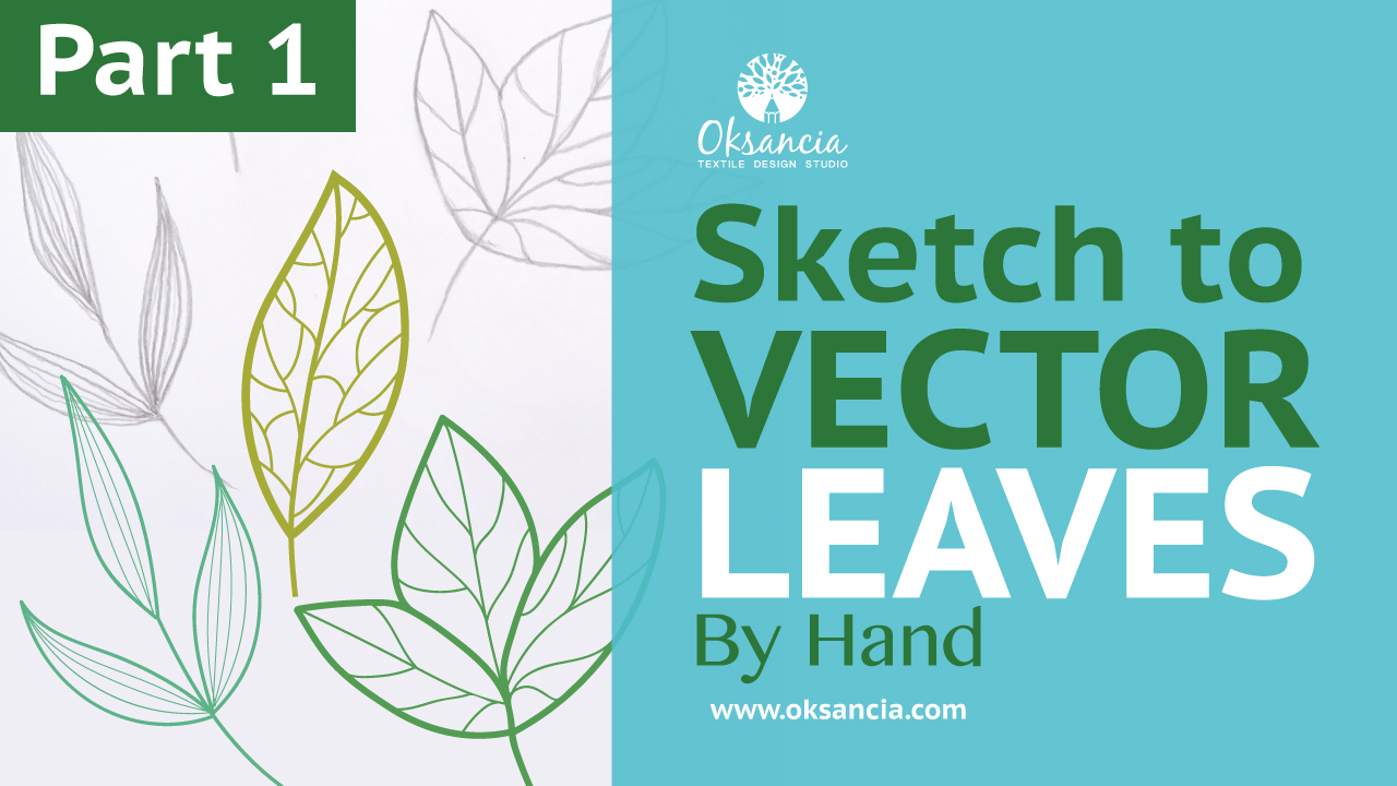 Video: How to live trace in Illustrator. Turn a sketch into vector